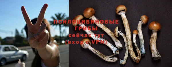 бошки Белая Холуница