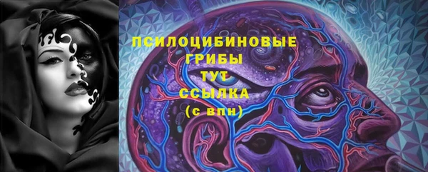 дживик Билибино