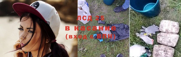 дживик Билибино