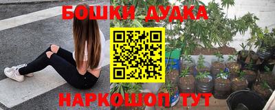 СК Волгодонск