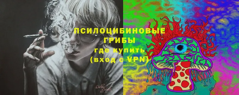 Псилоцибиновые грибы ЛСД  Ишим 