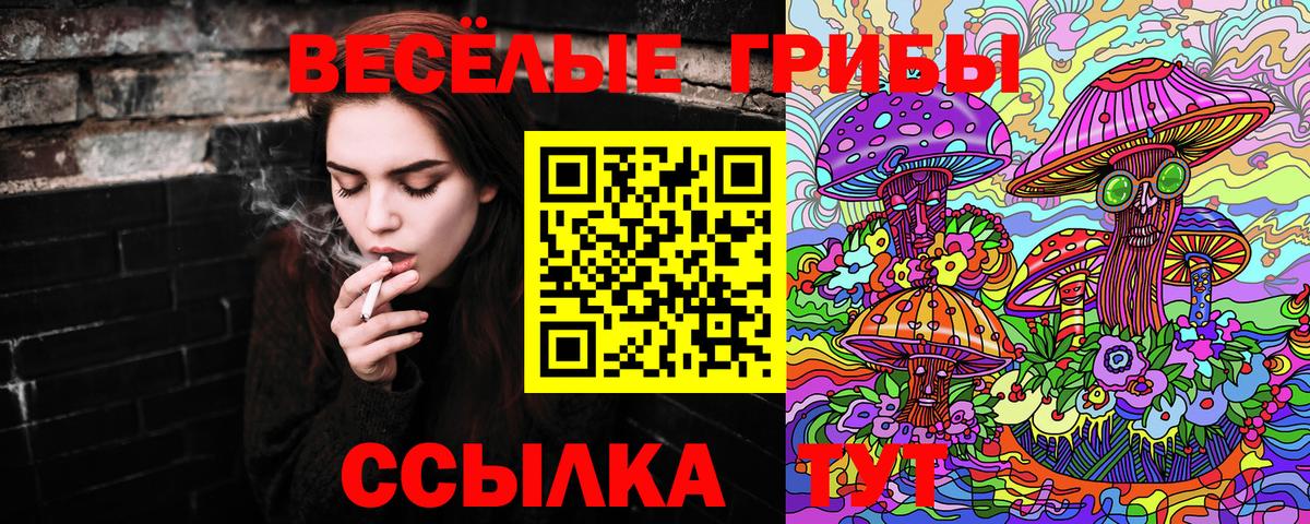 Галлюциногенные грибы мицелий  Ишим 