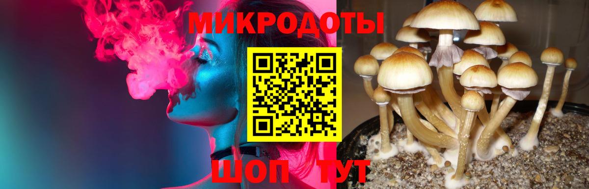Ишим  Галлюциногенные грибы GOLDEN TEACHER  Вход с VPN  продажа наркотиков  Галлюциногенные грибы Psilocybe 