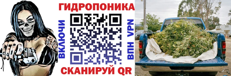 Бошки Шишки сатива  Ишим 