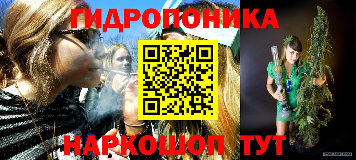 Шишки марихуана семена  Канабис SATIVA & INDICA  Ишим  Конопля сатива  Вход с VPN 
